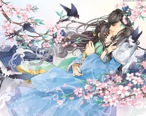 糖心91白虎